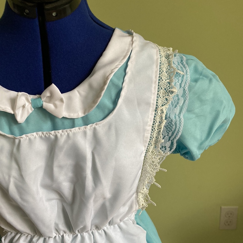 Alice In Wonderland Costume! View 6